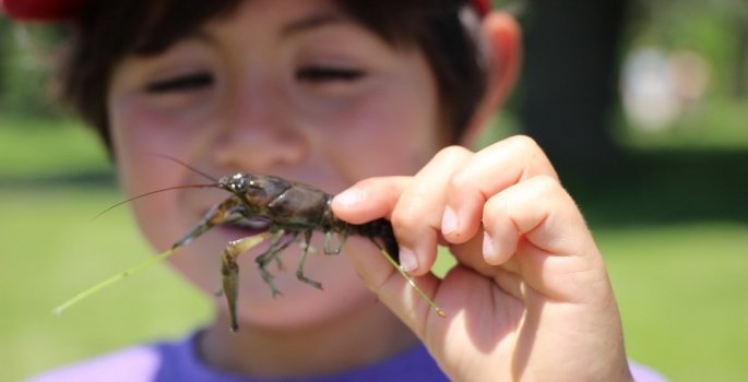 small boy holds up a crayfish to the camera