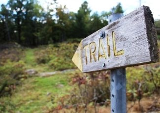 A well walked trail in a natural area with a wooden sign that say trail.