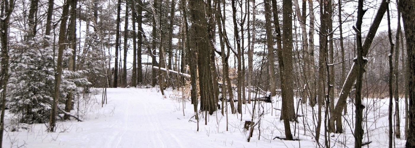 Beaver Meadow Conservation Area trail winter 2020