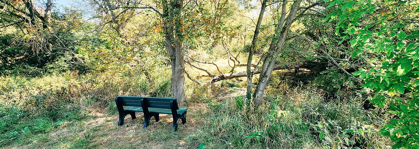 A memorial bench at North Potter's Creek Conservation Area.