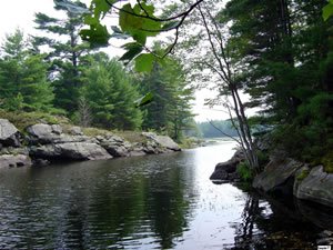 Water body surrounded by rock banks and trees