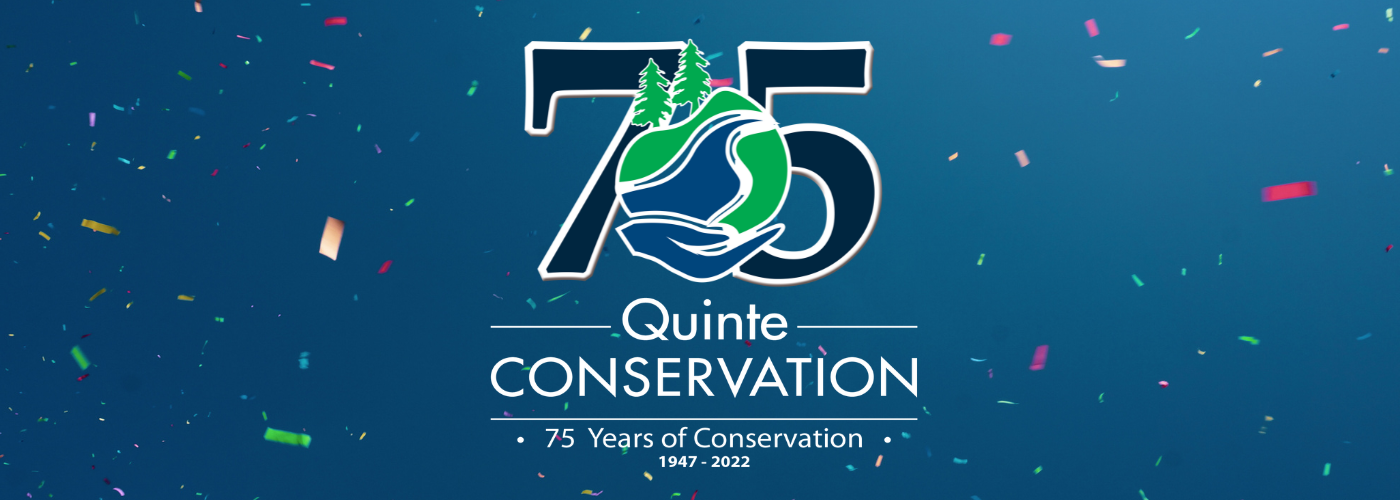 A blue banner with rainbow confetti, overlaid with Quinte Conservation's 75th Anniversary Logo