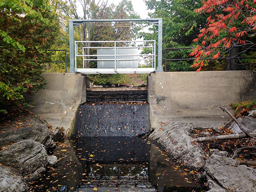 Upper Arden Dam
