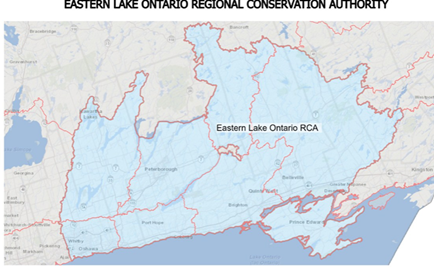 Proposal map of consolidated Eastern Conservation Authorities. 