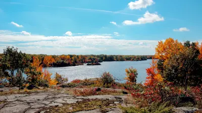 View of a serene lake surrounded by trees with vibrant autumn foliage under a clear blue sky.