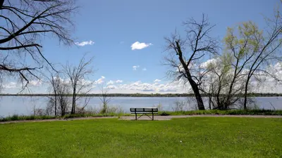A serene park scene with a bench overlooking a large lake, framed by trees under a clear blue sky with fluffy clouds.