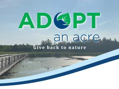 Promotional banner for "Adopt an Acre" featuring a scenic view of a sunlit wetland with a wooden walkway extending into the distance.