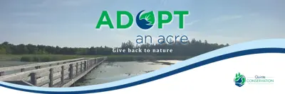 Promotional banner for "Adopt an Acre" featuring a scenic view of a sunlit wetland with a wooden walkway extending into the distance.