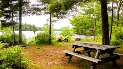 A serene lakeside picnic spot with a wooden table, surrounded by lush green trees.