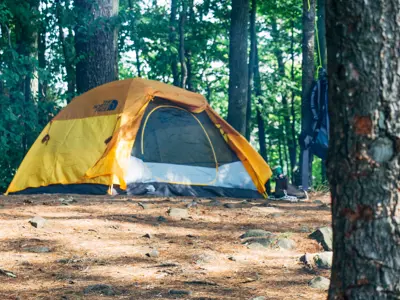 A tent pitched among trees in a forested camping area.