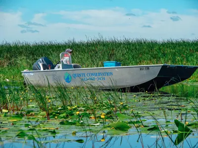 Staff in canoe