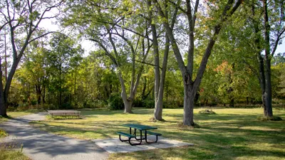 A serene park view featuring leafy trees, a walking path, and a picnic table under sunlight.