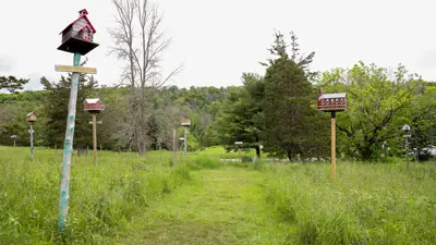 A peaceful outdoor scene featuring a row of decorative birdhouses on poles in a lush, grassy field with trees and a cloudy sky in the background.