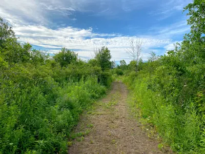 A narrow path leading through a lush green landscape under a partly cloudy sky.