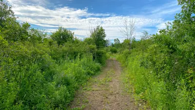 A narrow path leading through a lush green landscape under a partly cloudy sky.