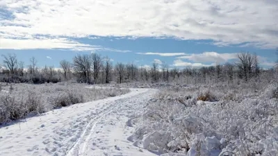Winter landscape covered in snow with a winding path and frost-covered trees under a bright blue sky.