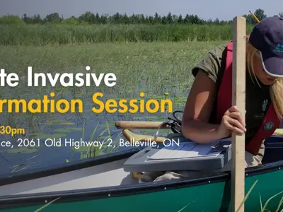 Banner for Bay of Quinte Invasive Species Information Session showing two individuals examining water samples from a canoe.