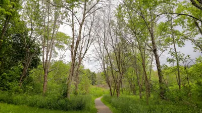 A serene pathway winding through a lush green park, surrounded by tall trees and dense foliage, under a cloudy sky.