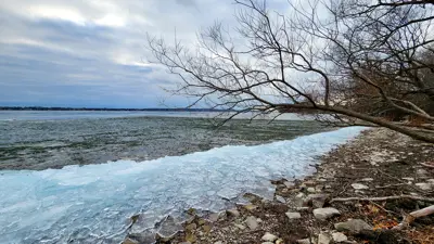 View of a frozen shoreline along Lake Ontario with scattered rocks and bare tree branches, under a cloudy sky.