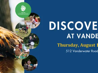 Promotional banner for Discovery Day at Vandewater featuring a close-up of a hawk on the left, with event details including date, time, location, and free admission mentioned on the right.