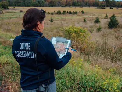 Person in "Quinte Conservation" uniform using a clipbaord to examine a map in a grassy field.