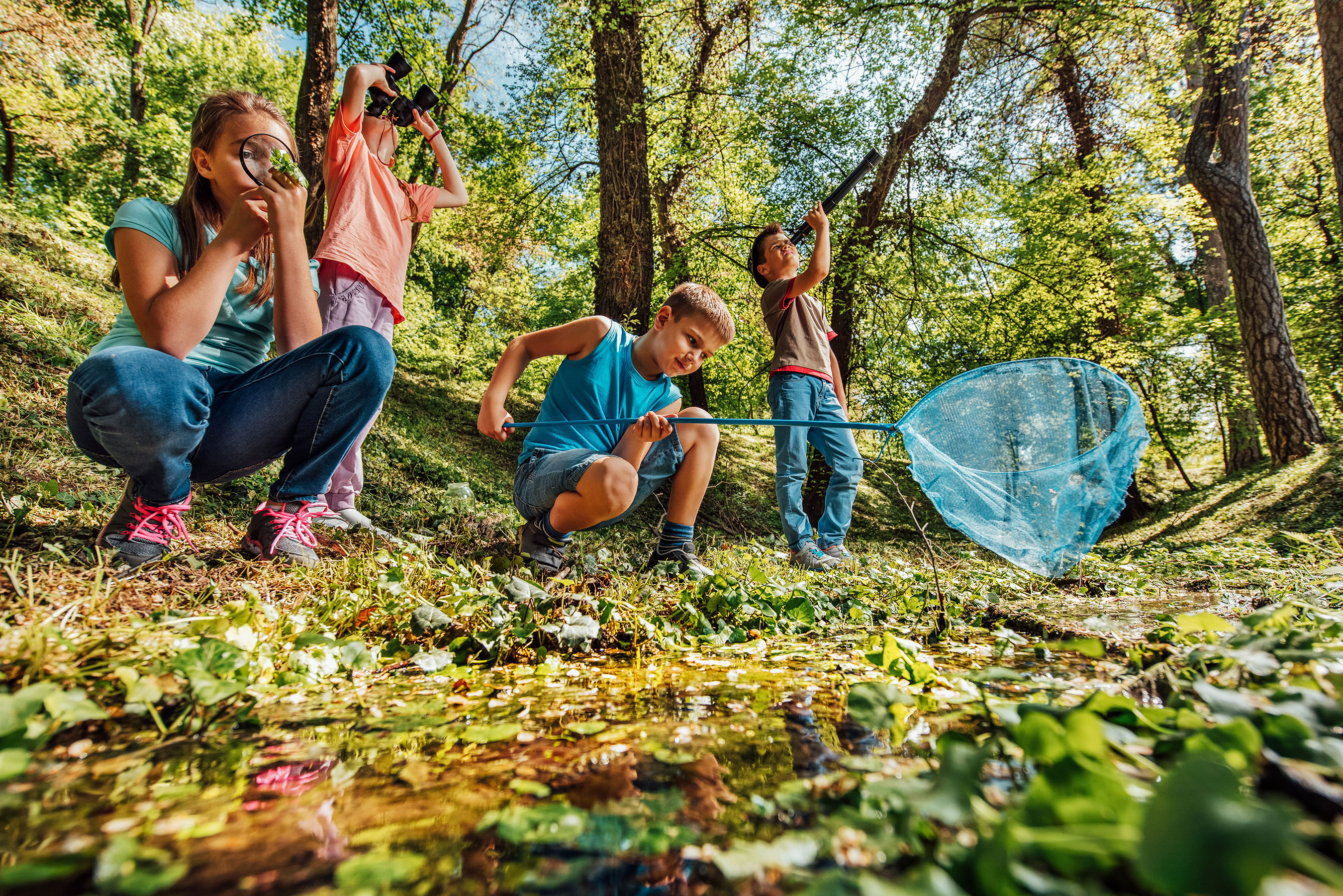 Four children exploring a forest stream, one using a net to catch specimens, under sunlight filtering through the trees.