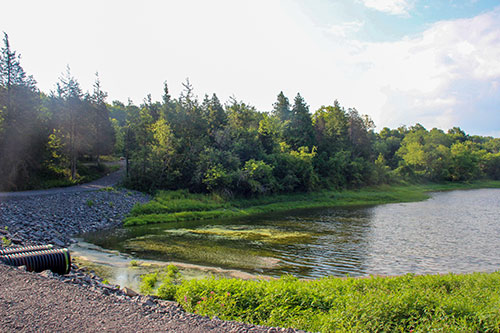 Harry Smith Dam