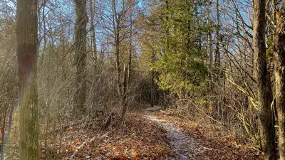 A peaceful pathway through a forest with light snow cover, surrounded by bare trees and bright sunlight.
