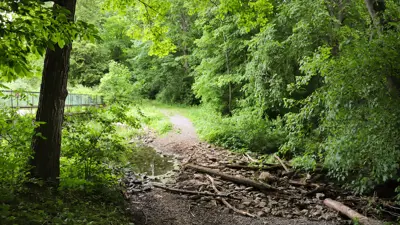 A trail in a lush forest with vibrant green trees and a small bridge visible in the background. The path curves gently and is partially covered with small branches and foliage.