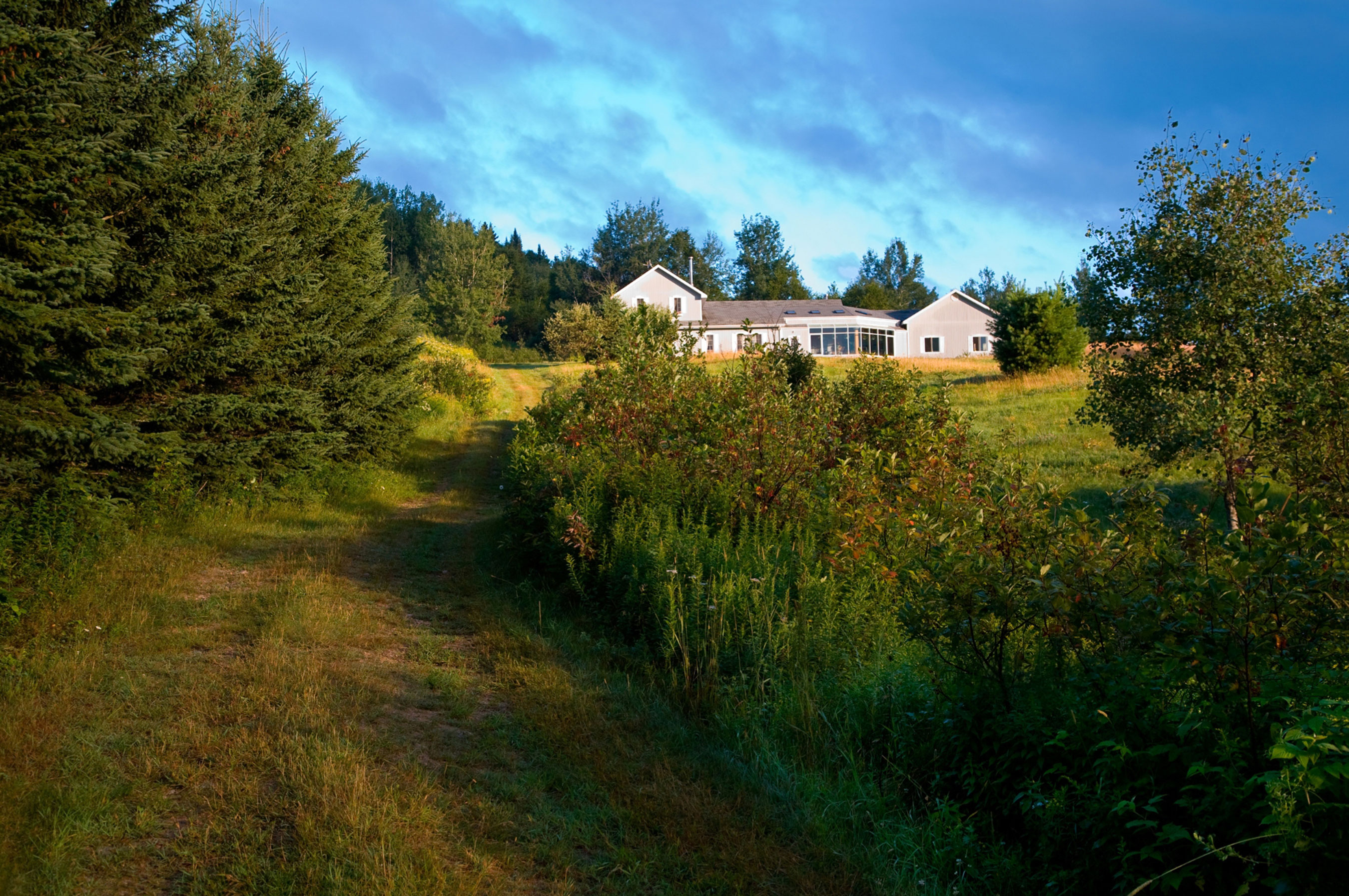 Path leading to a rural schoolhouse surrounded by lush greenery under a clear sky at dusk.