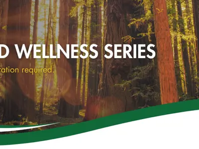 Banner for Quinte Conservation's Woodland Wellness Series, depicting a serene forest scene with sunlight filtering through tall trees. Text announces the series is free with required registration.
