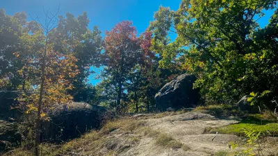 View of a sunny rock trail with scattered trees in autumn colors.