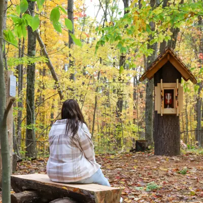 A woman sitting on a bench surrounded by forest and trees. 