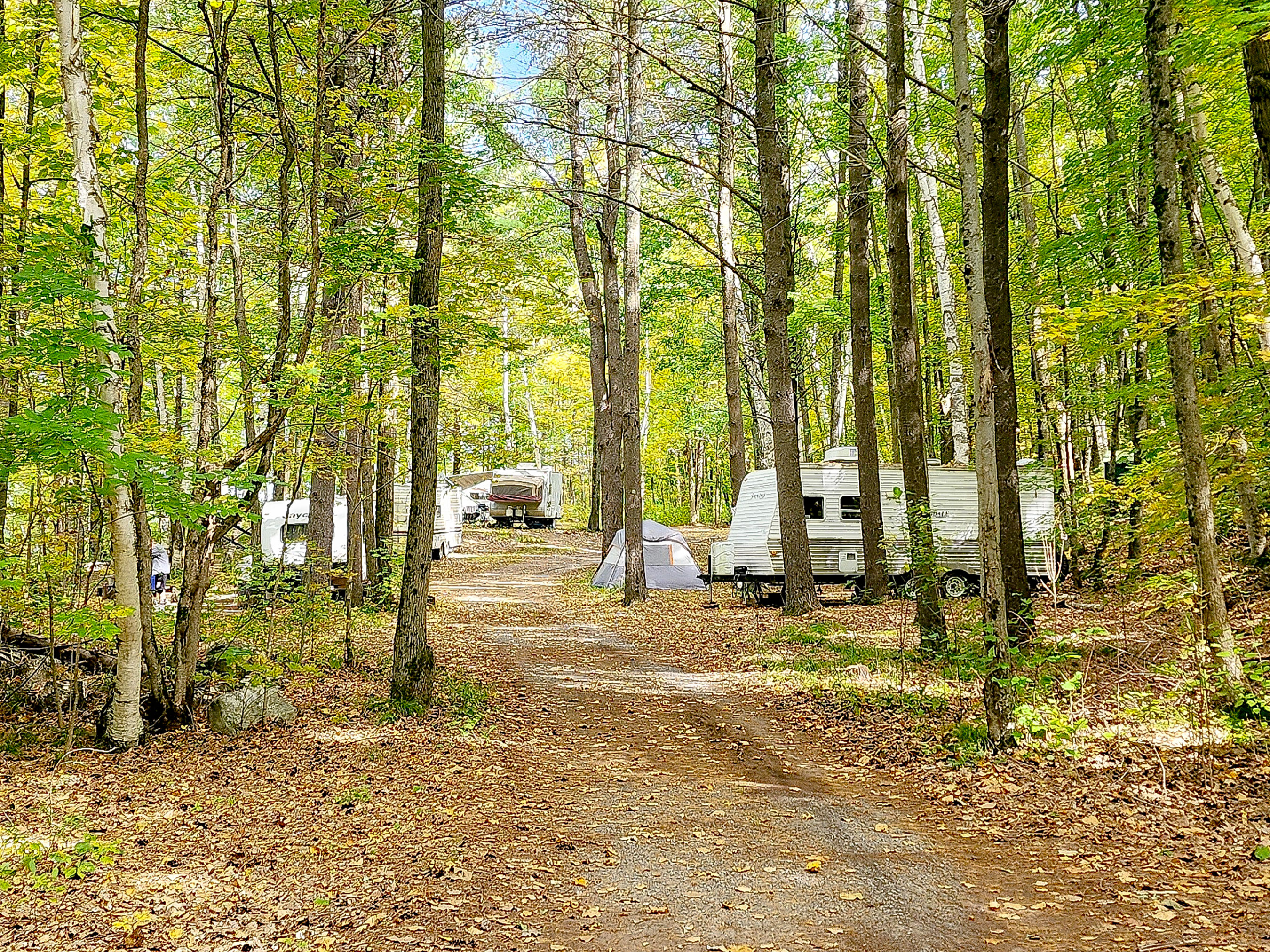 A serene campground nestled among vibrant green trees, featuring a gravel path leading to several white recreational vehicles parked in the shade.