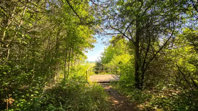 A sunlit trail leading to a wooden gate surrounded by lush greenery, offering a view of a bright, clear sky.