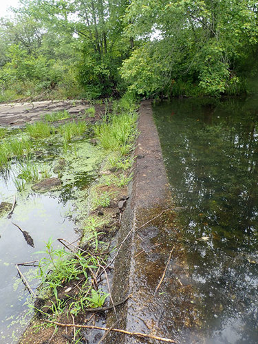 Chapman's Weir