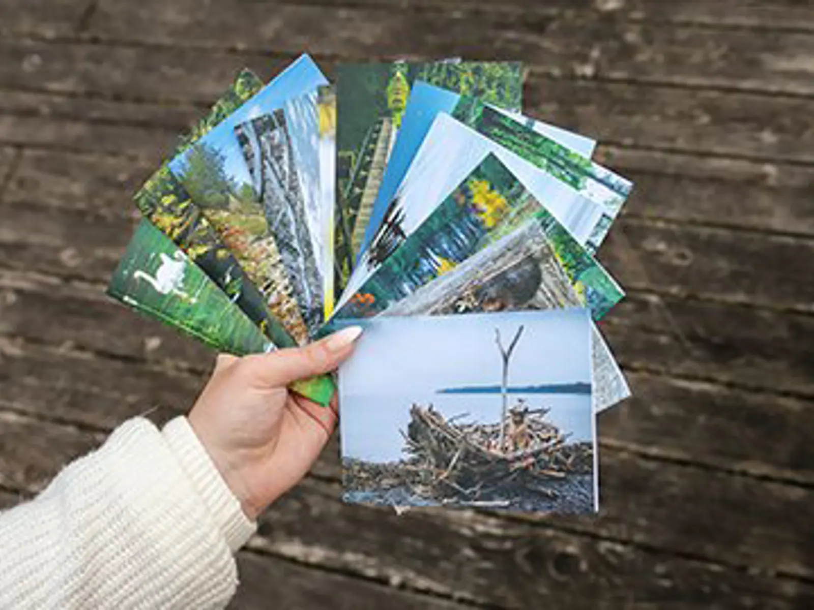 Merchandise Store | Quinte Conservation